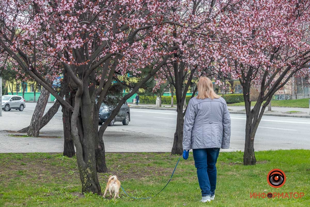 Хочется гулять