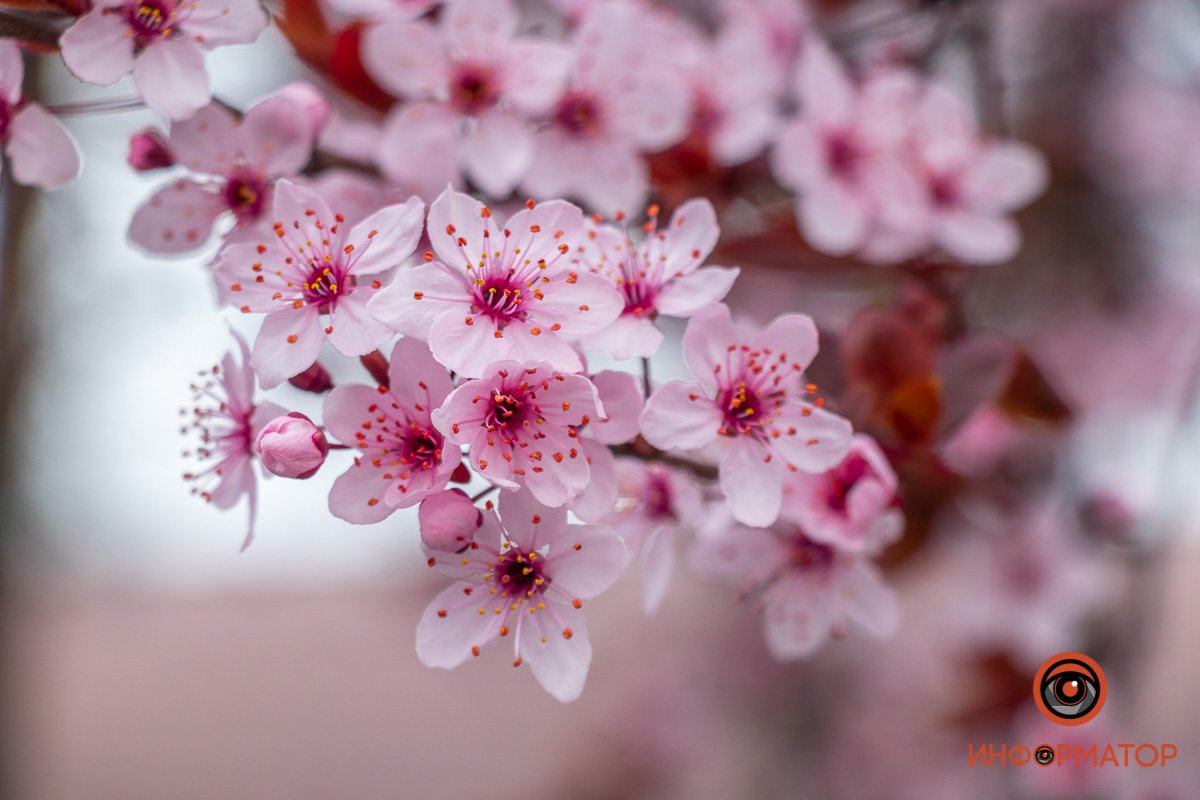 Можно любоваться вечно