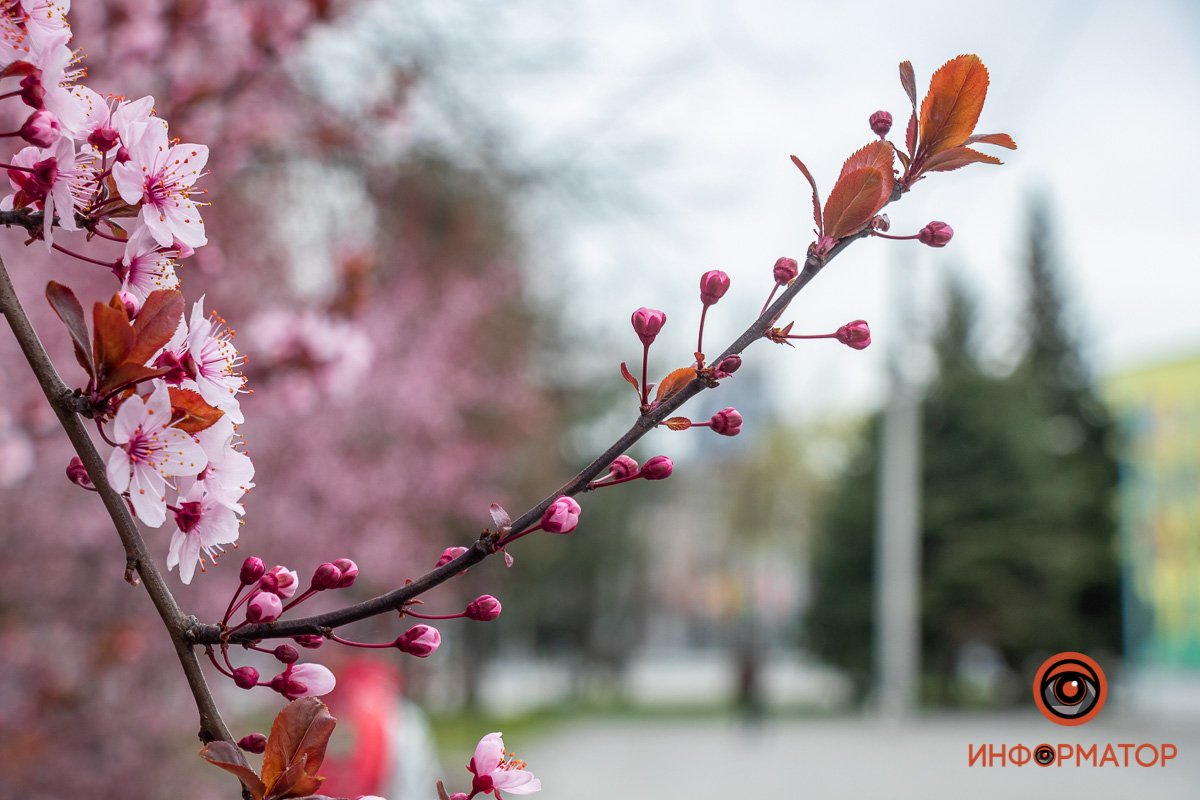Нужно потерпеть еще немного