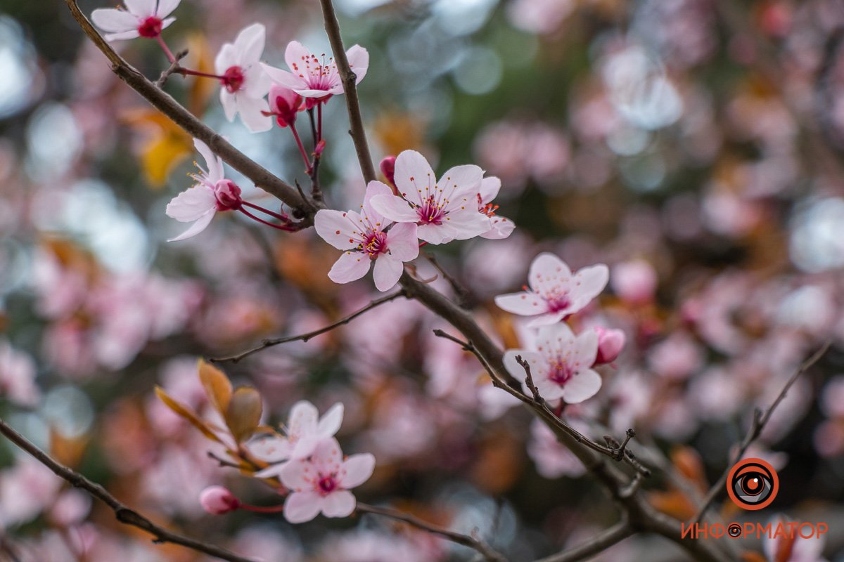 Так выглядит любовь