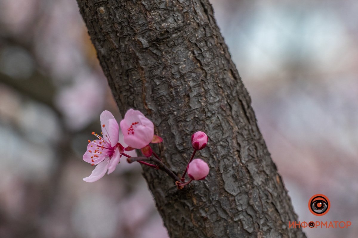 Скоро будет совсем тепло