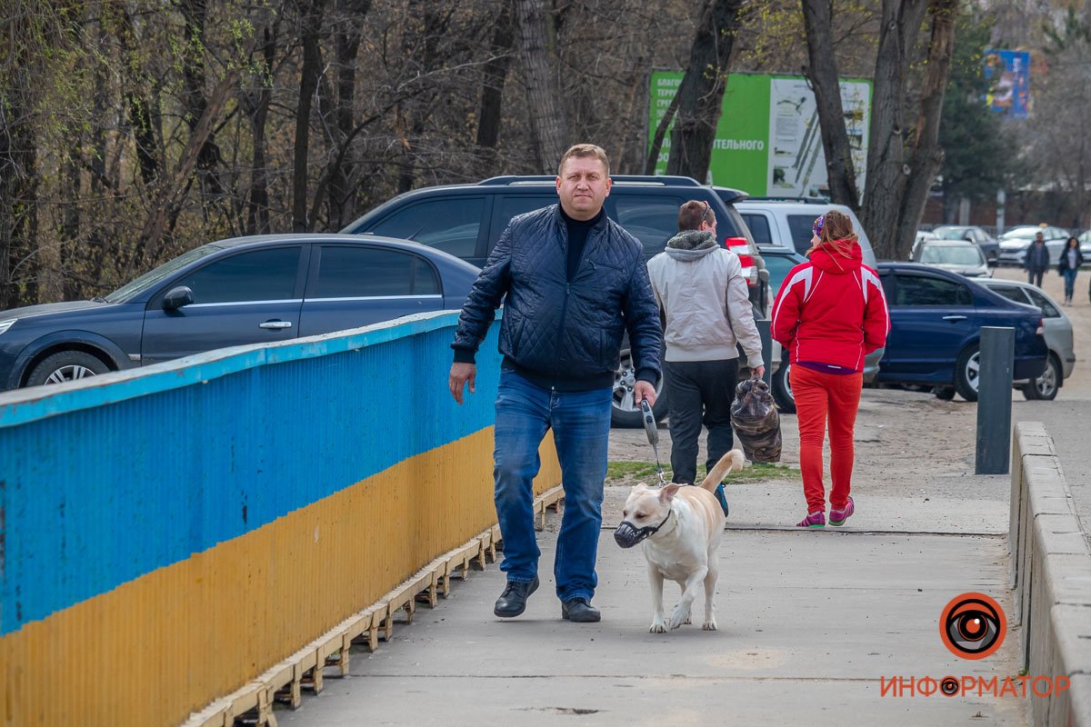 Собакен тоже защищен  Собакен тоже защищен