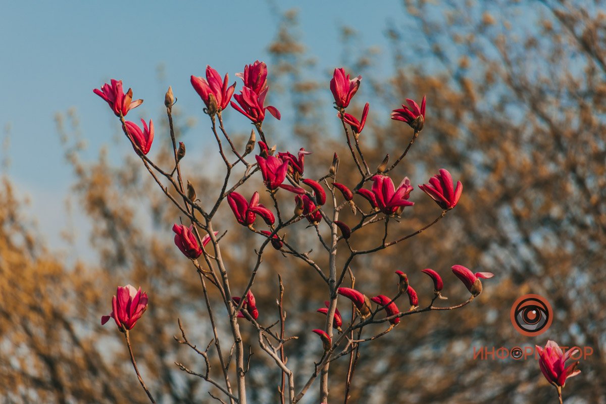 Скоро будет снова тепло Скоро будет снова тепло