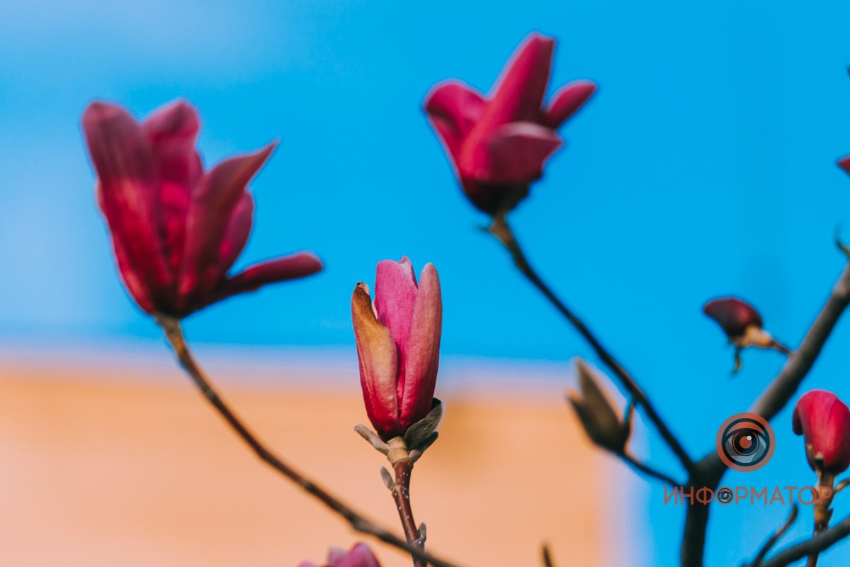 Все ради того, чтобы мы оставались дома Все ради того, чтобы мы оставались дома