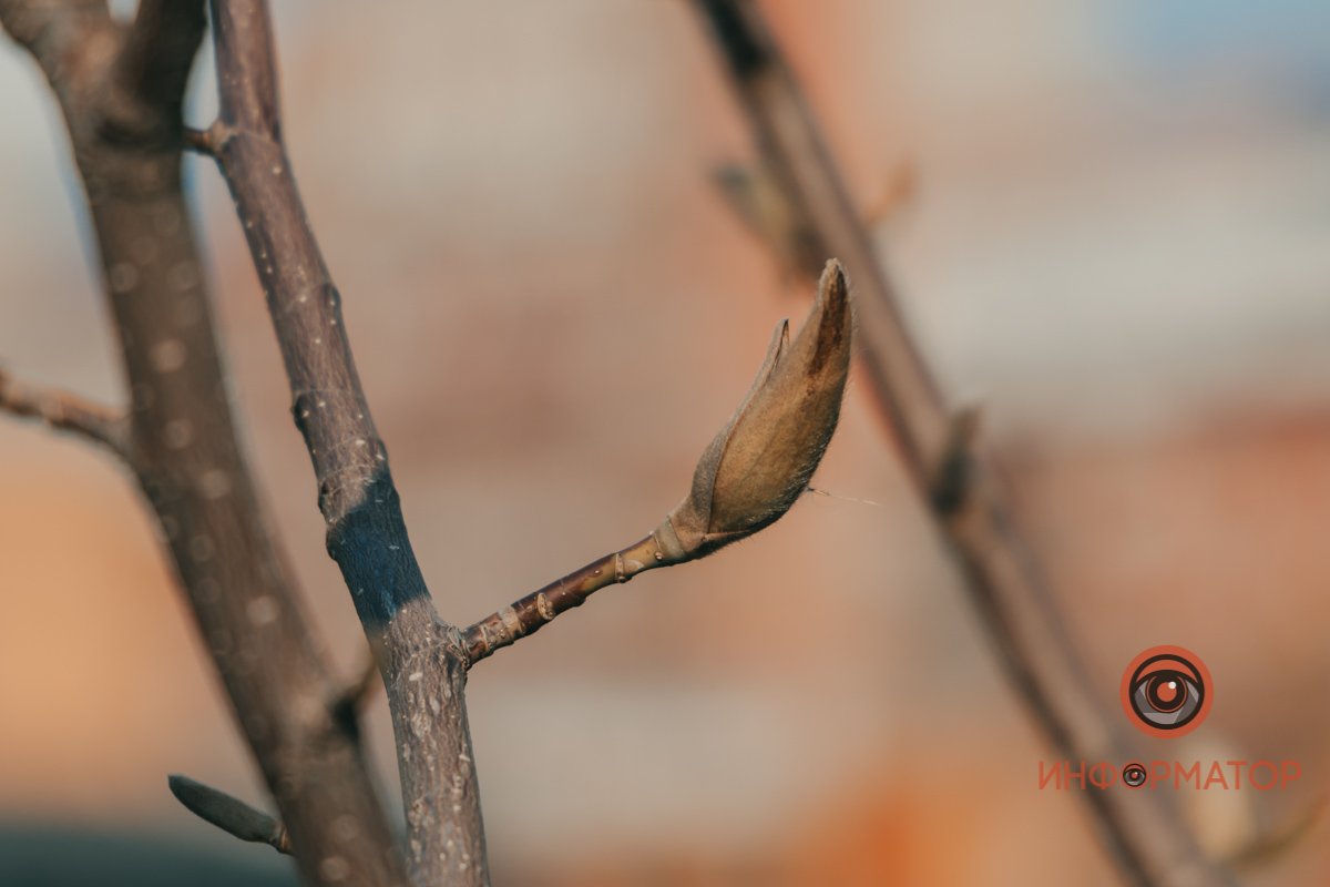Весна не наступит без нас Весна не наступит без нас