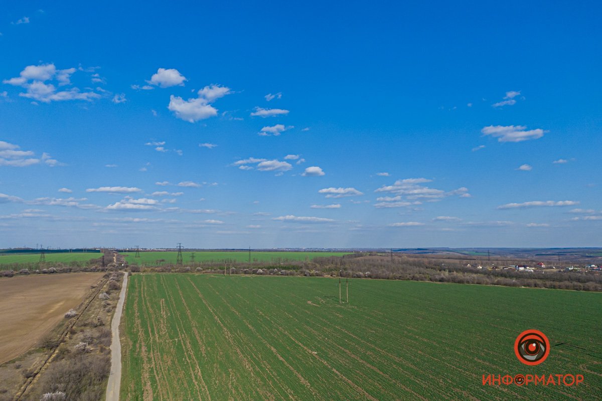 Контраст Контраст