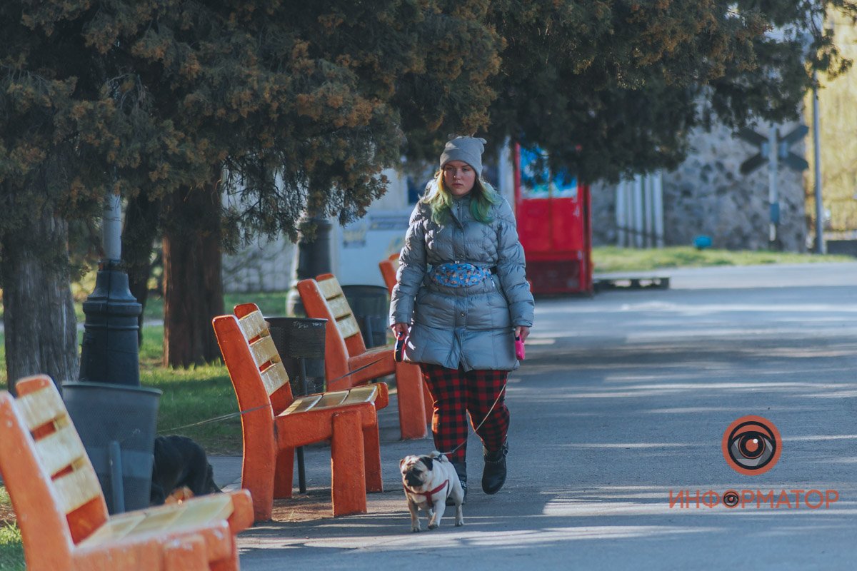 И не только люди, есть и чудесные маленькие собаньки 