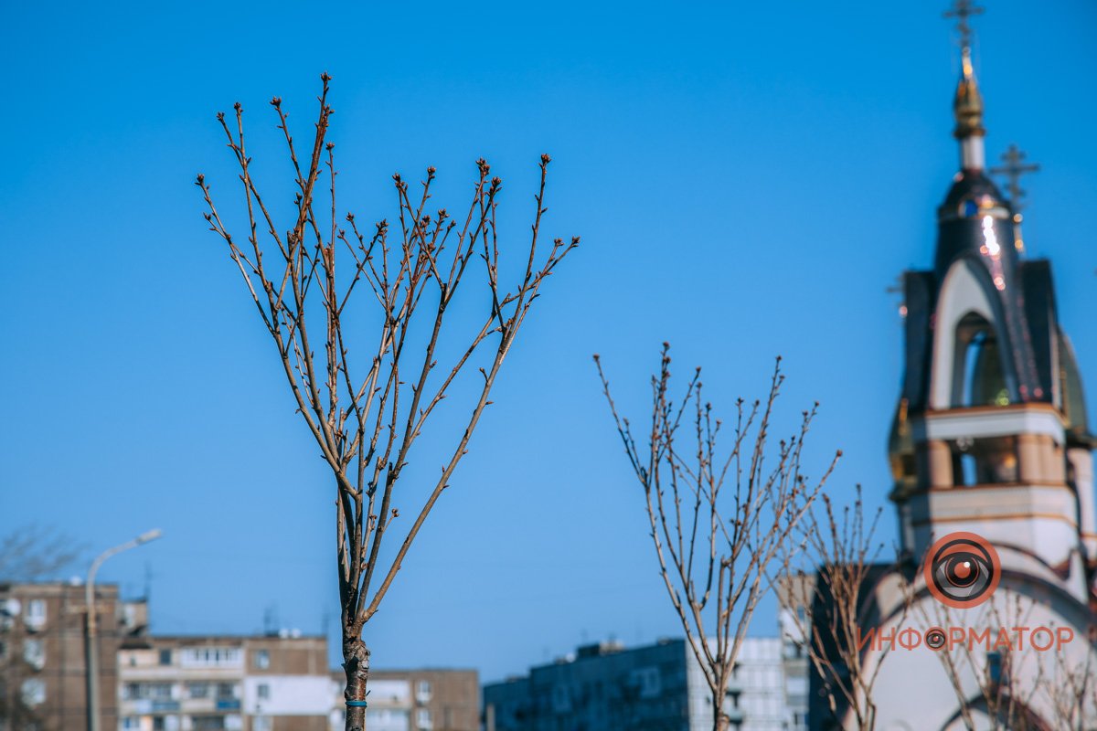 и можжевельник