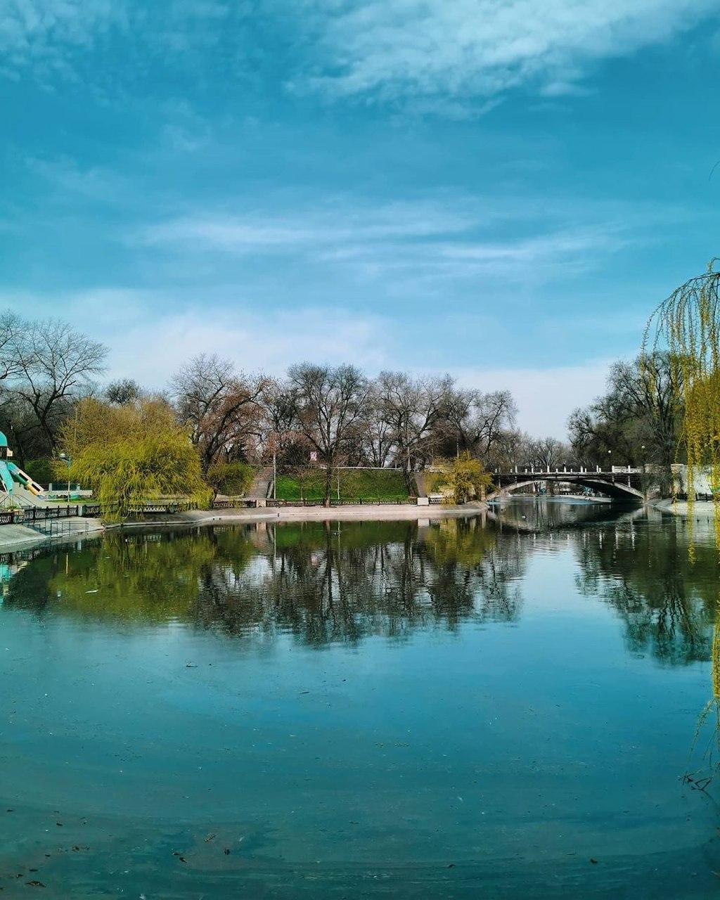 Фото: dneprfotograf Фото: dneprfotograf