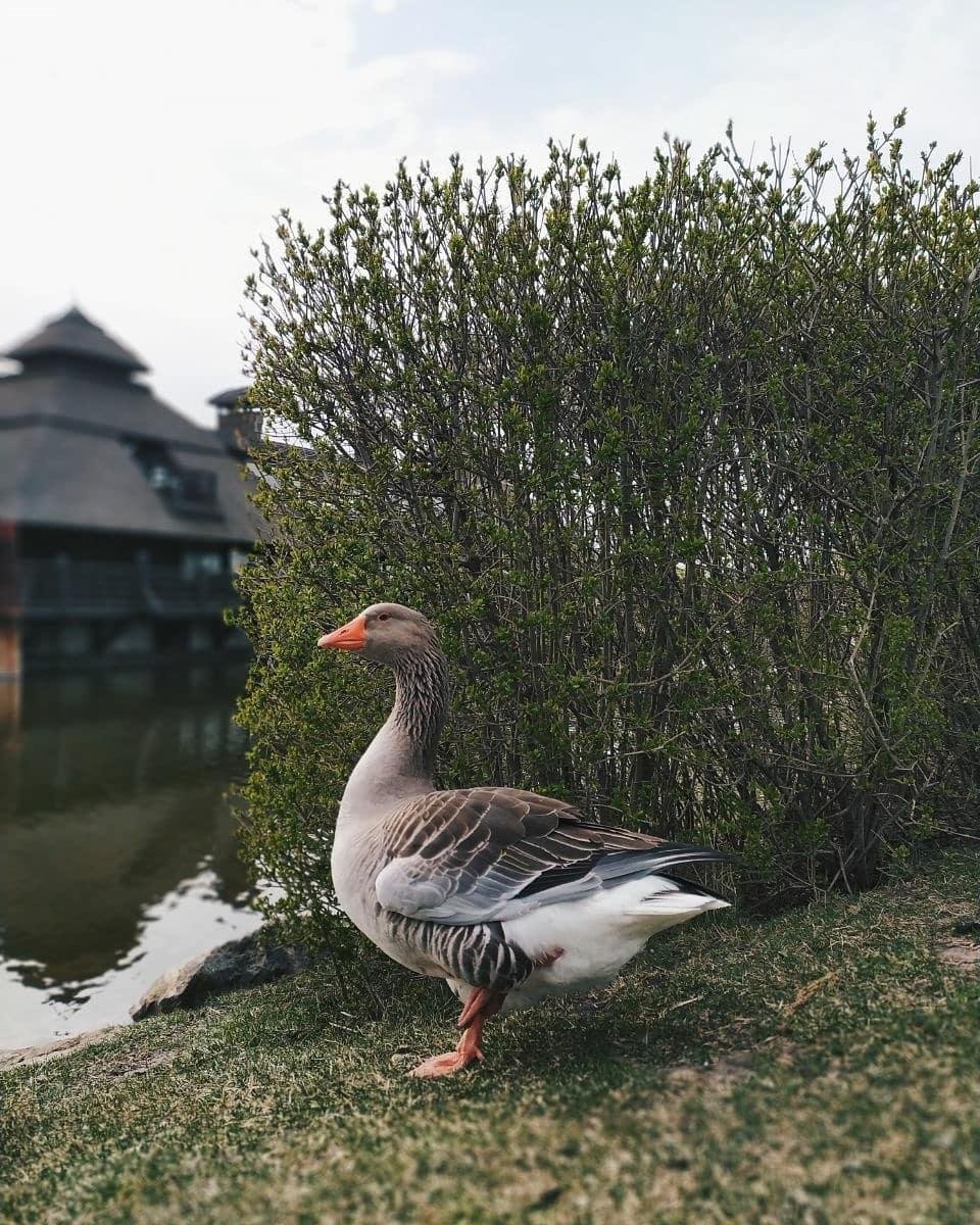 Фото: o_a_r_t_e_m_o Фото: o_a_r_t_e_m_o