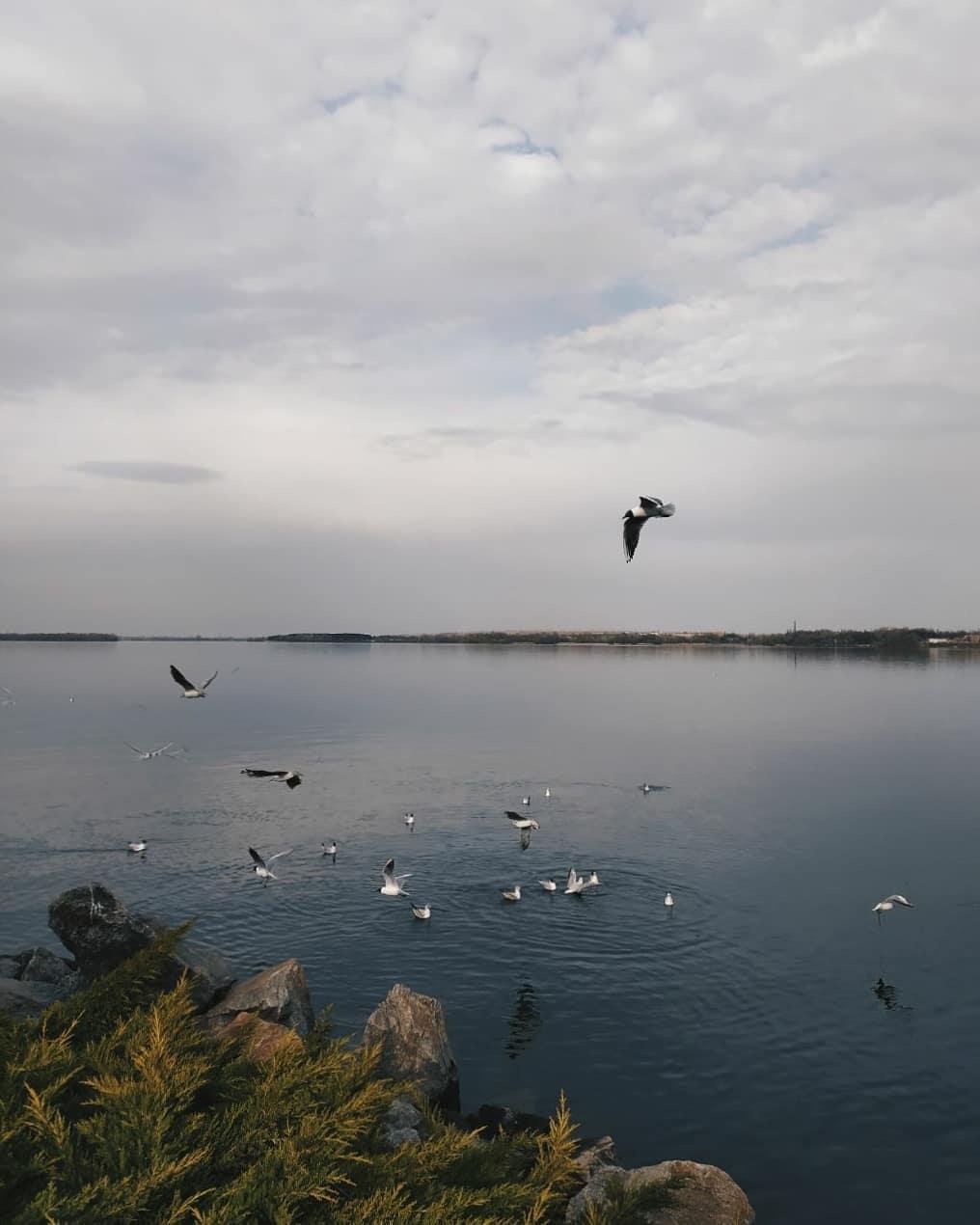 Фото: o_a_r_t_e_m_o Фото: o_a_r_t_e_m_o