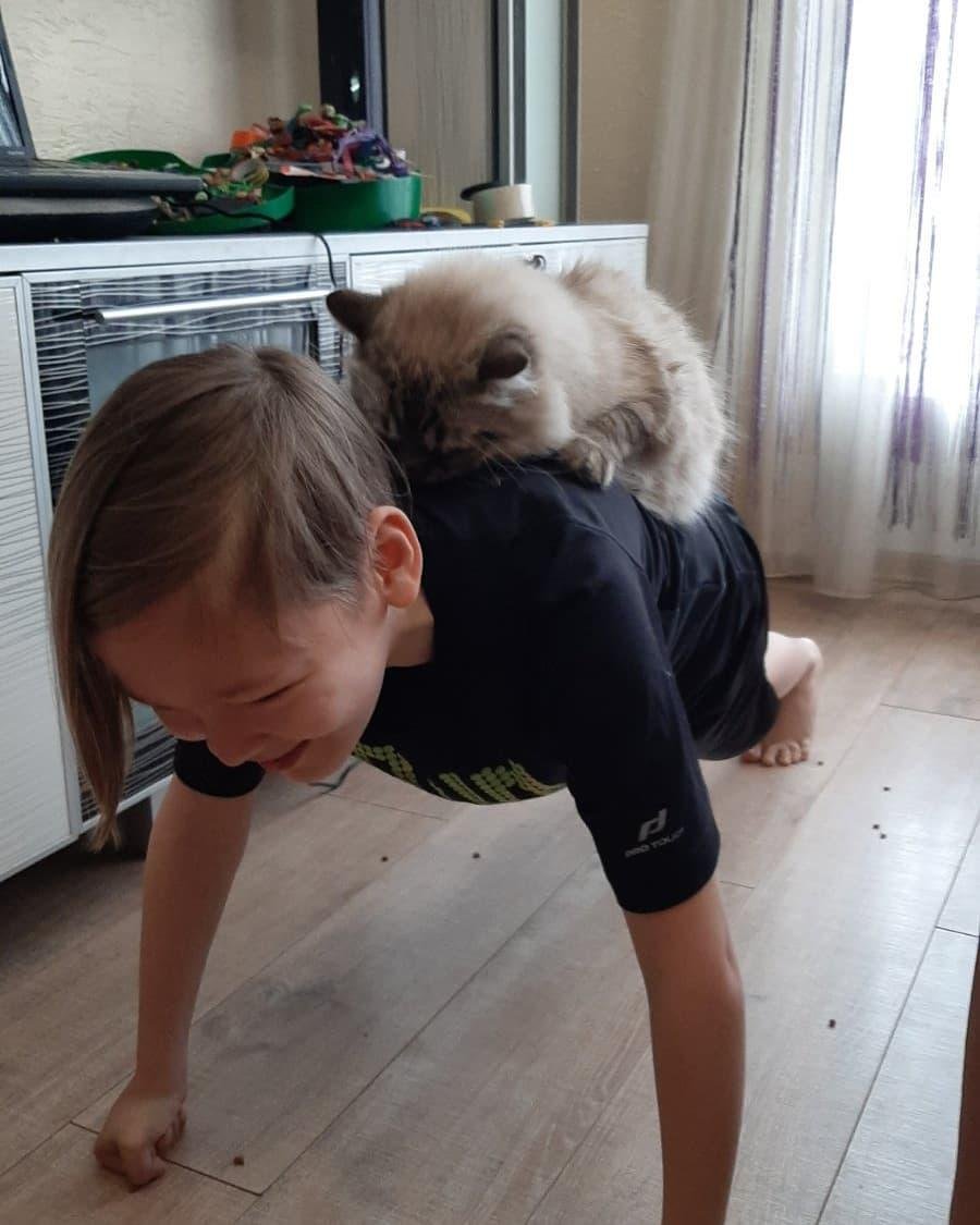 Домашняя зарядка