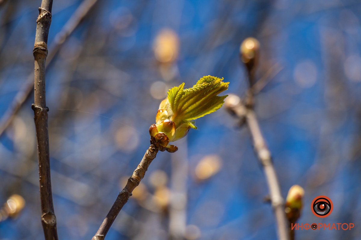 Момент рождения