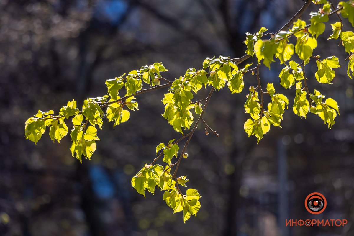 Молодые и неокрепшие