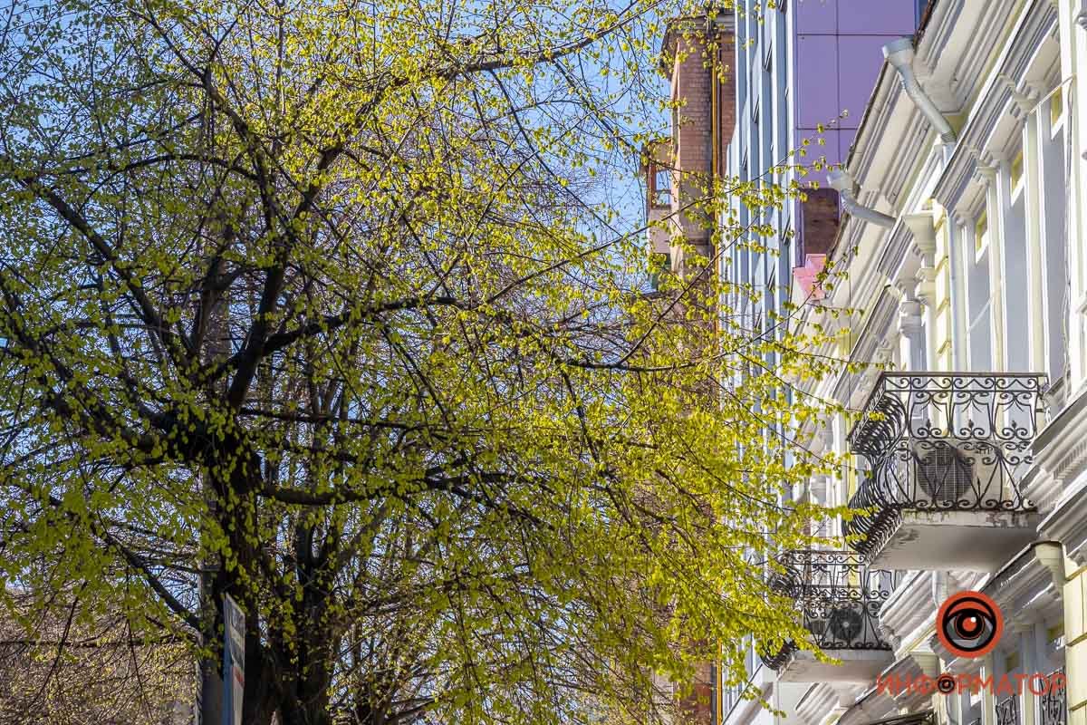 Скоро будет тень