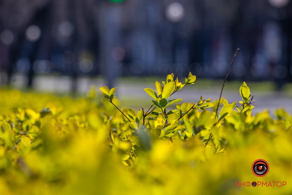 Немного выше