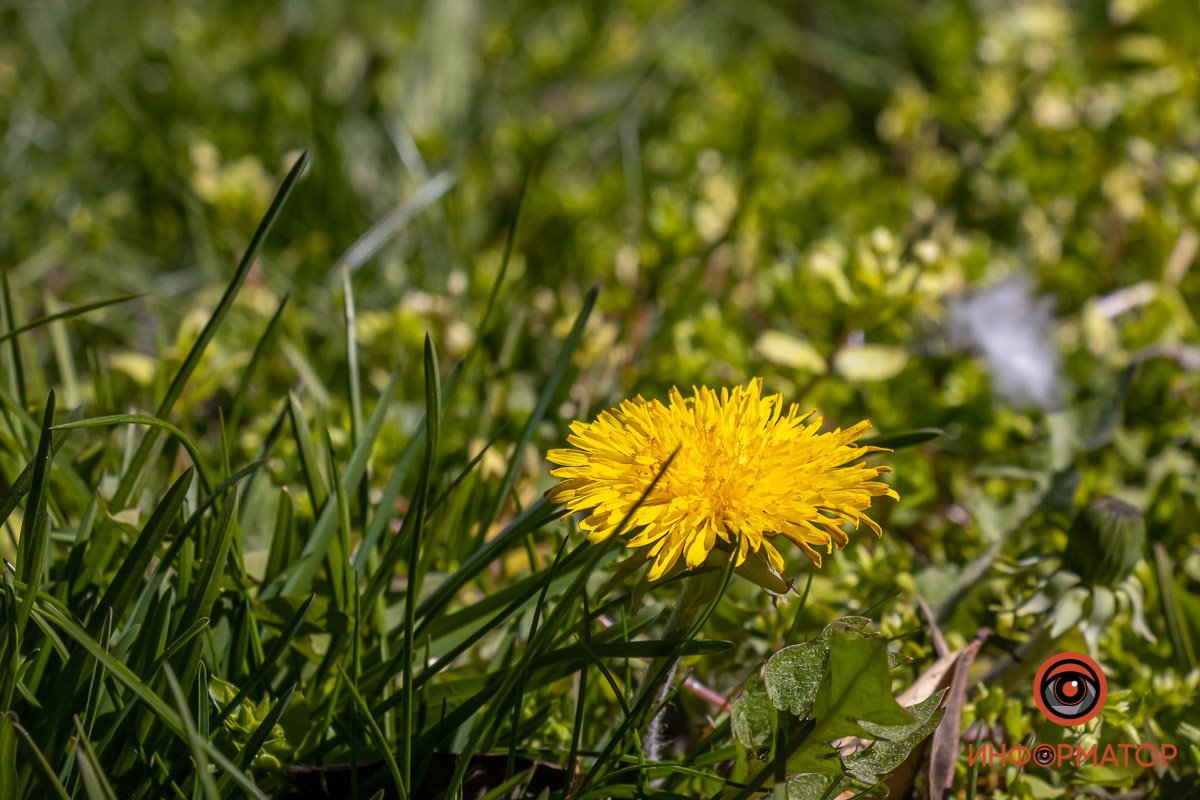 Разбавил атмосферу