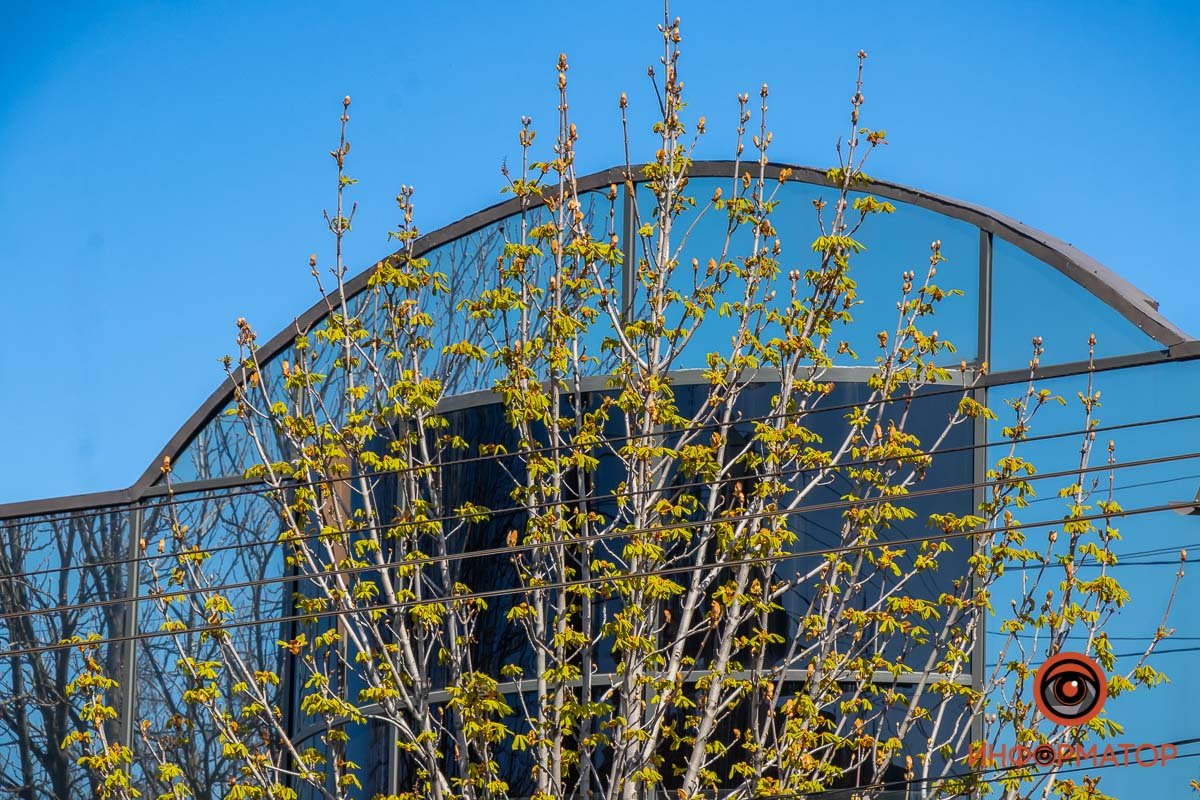 Стремится ввысь