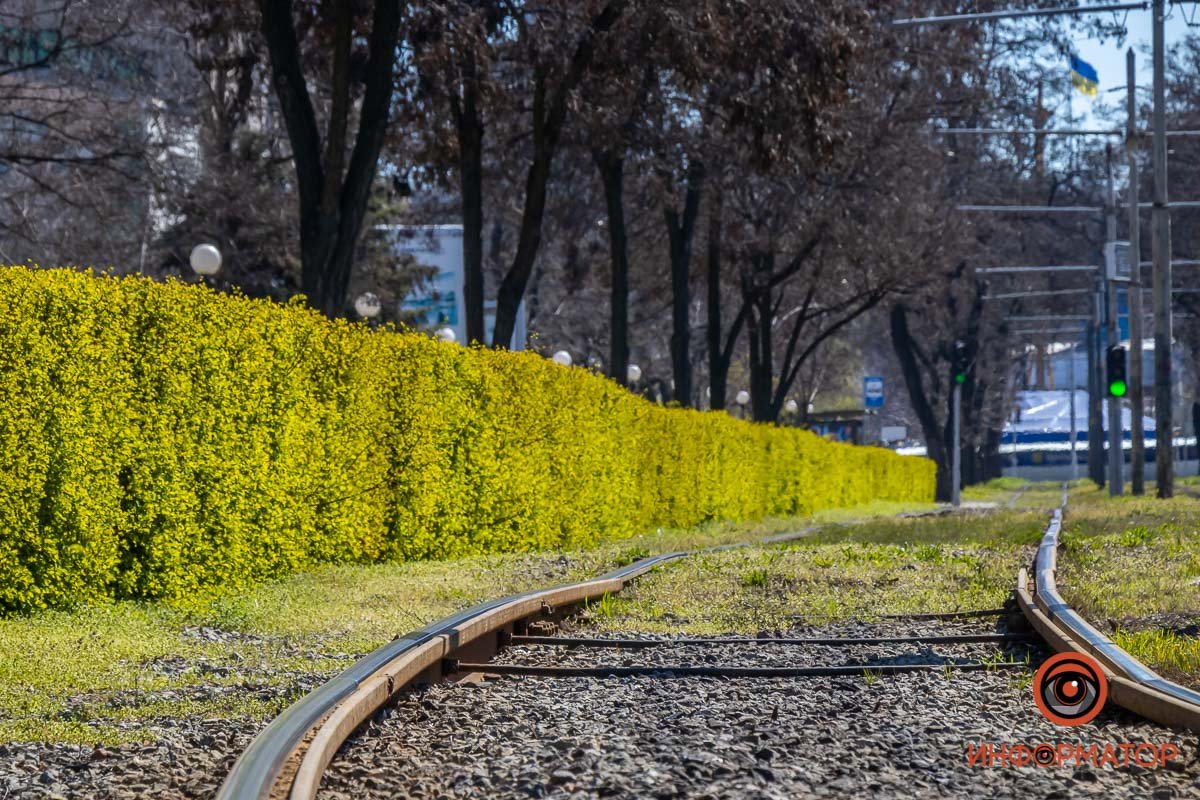 Мягкая стена