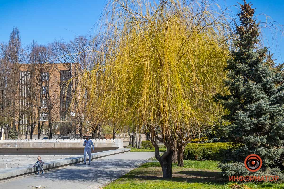 Набирается сил