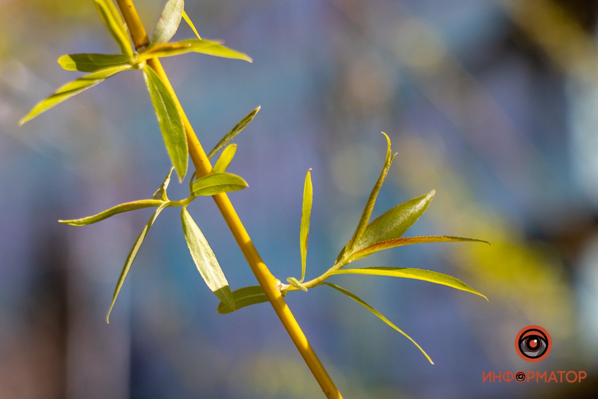 Причудливые формы