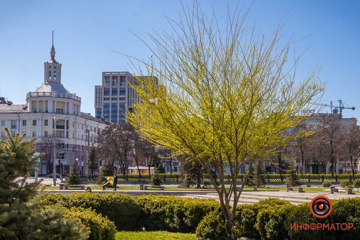 Достойно хокку