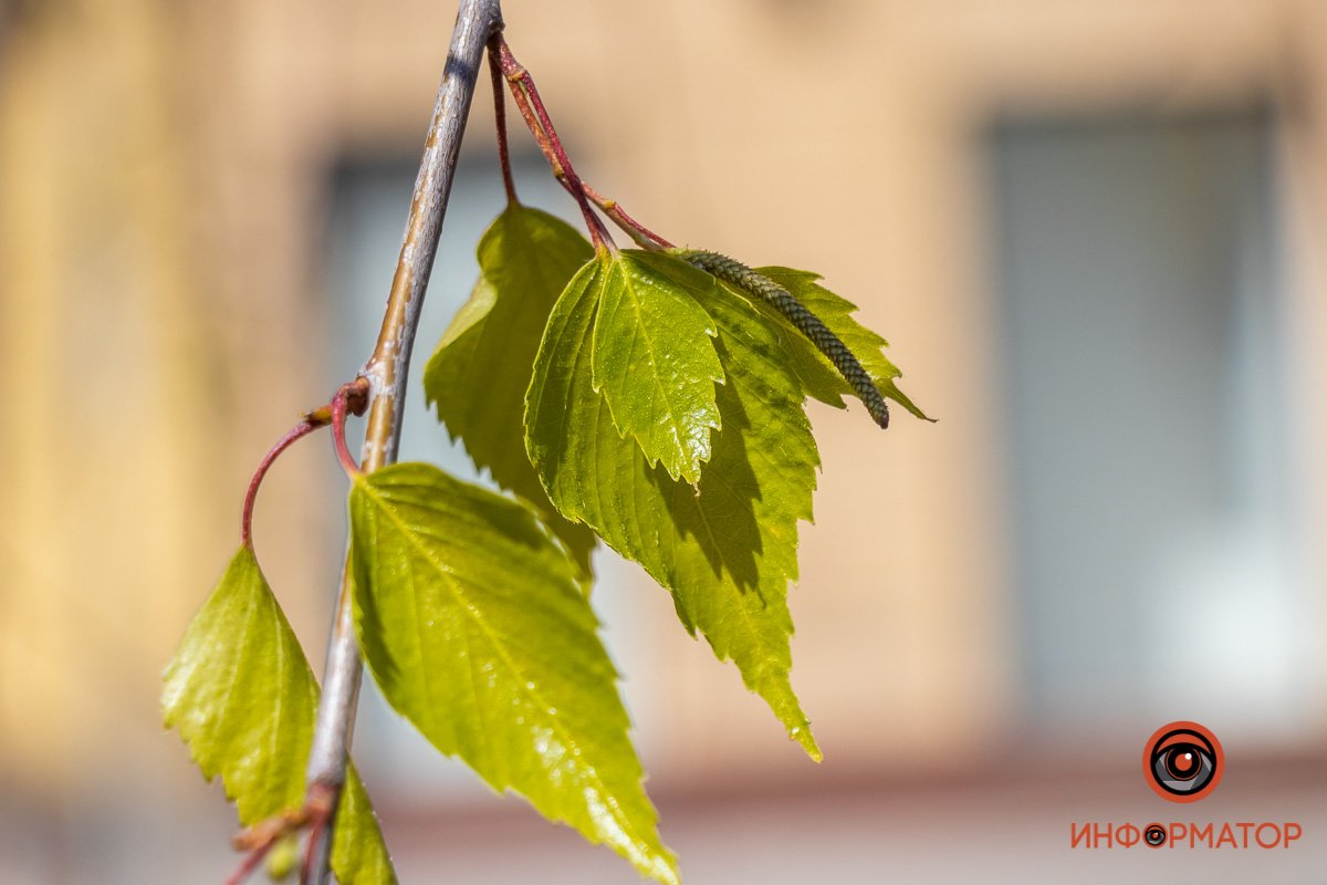 Не такой, как все