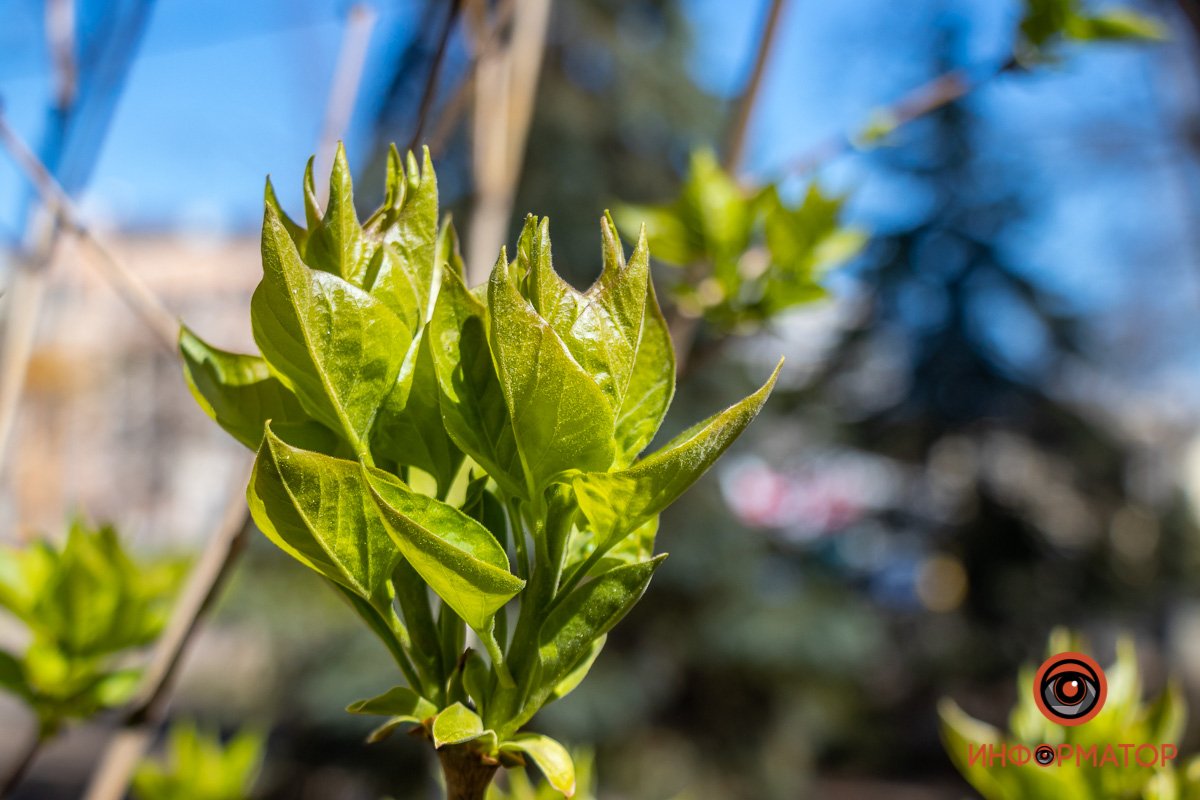 Вместе веселее