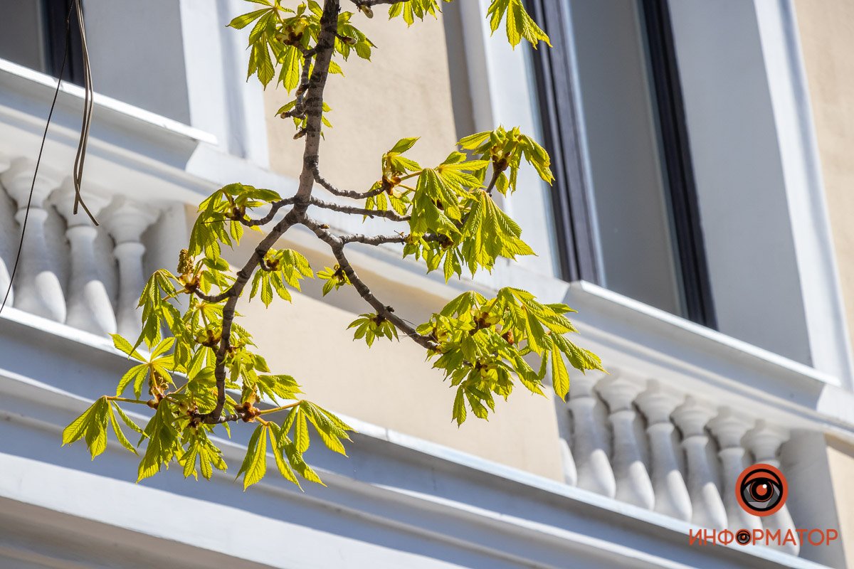 Тянется к людям