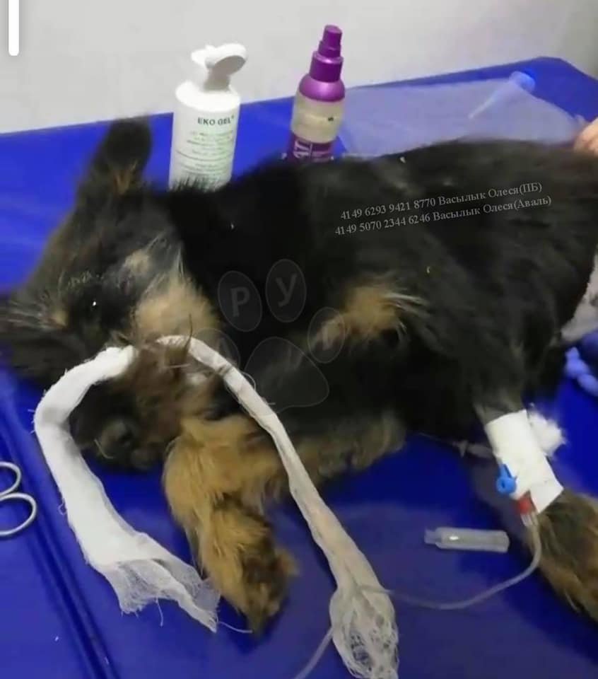 Нужна помощь Нужна помощь