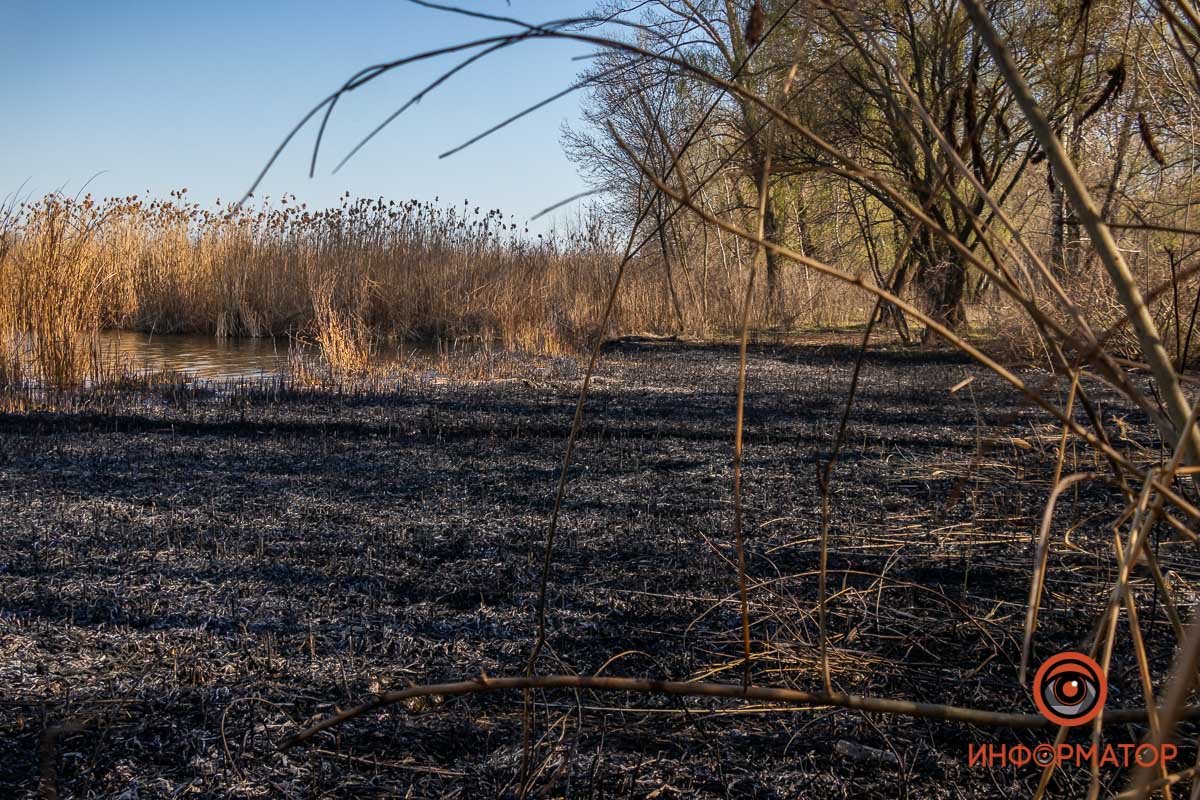 Спасатели оперативно ликвидировали возгорание Спасатели оперативно ликвидировали возгорание