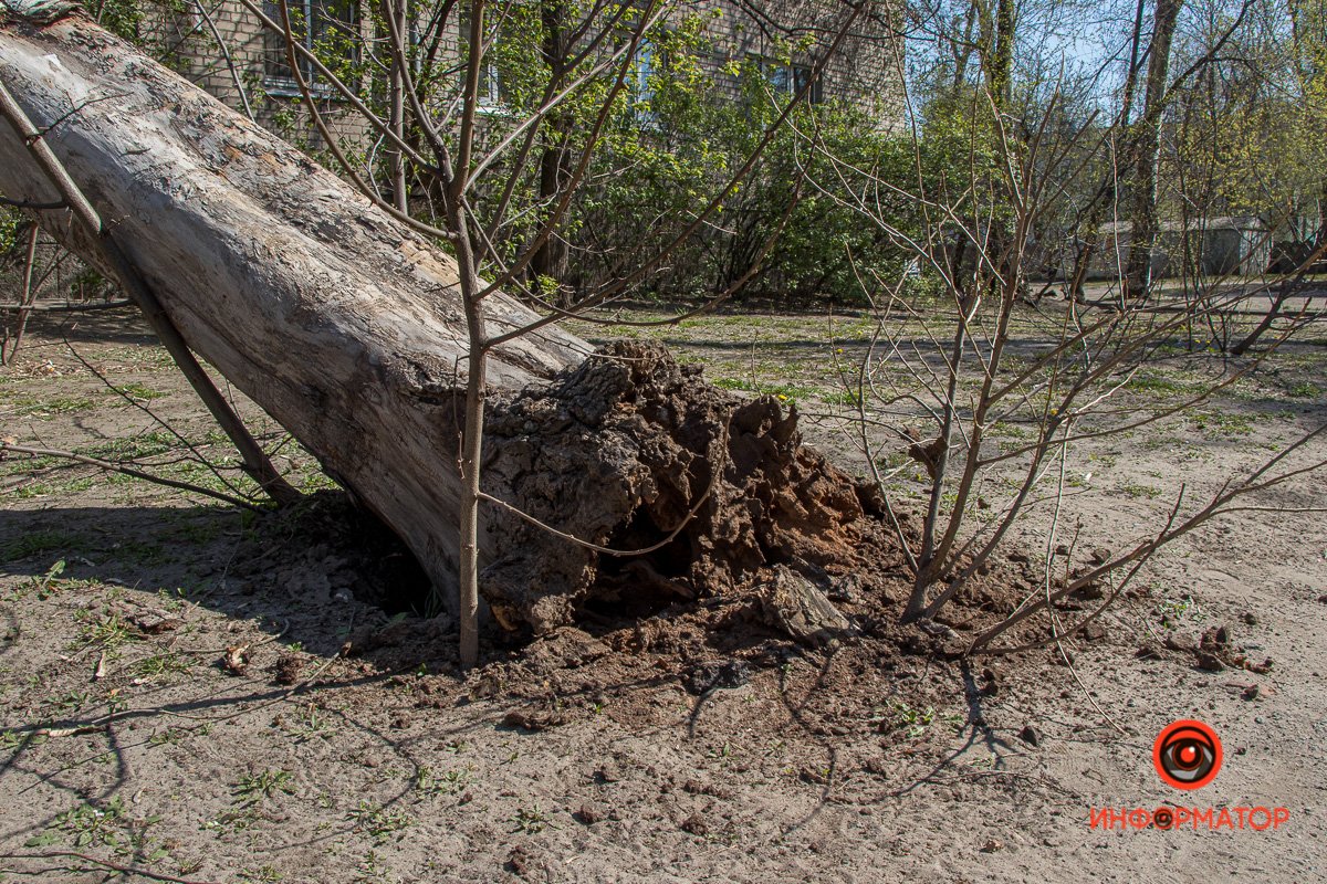 Никто не пострадал