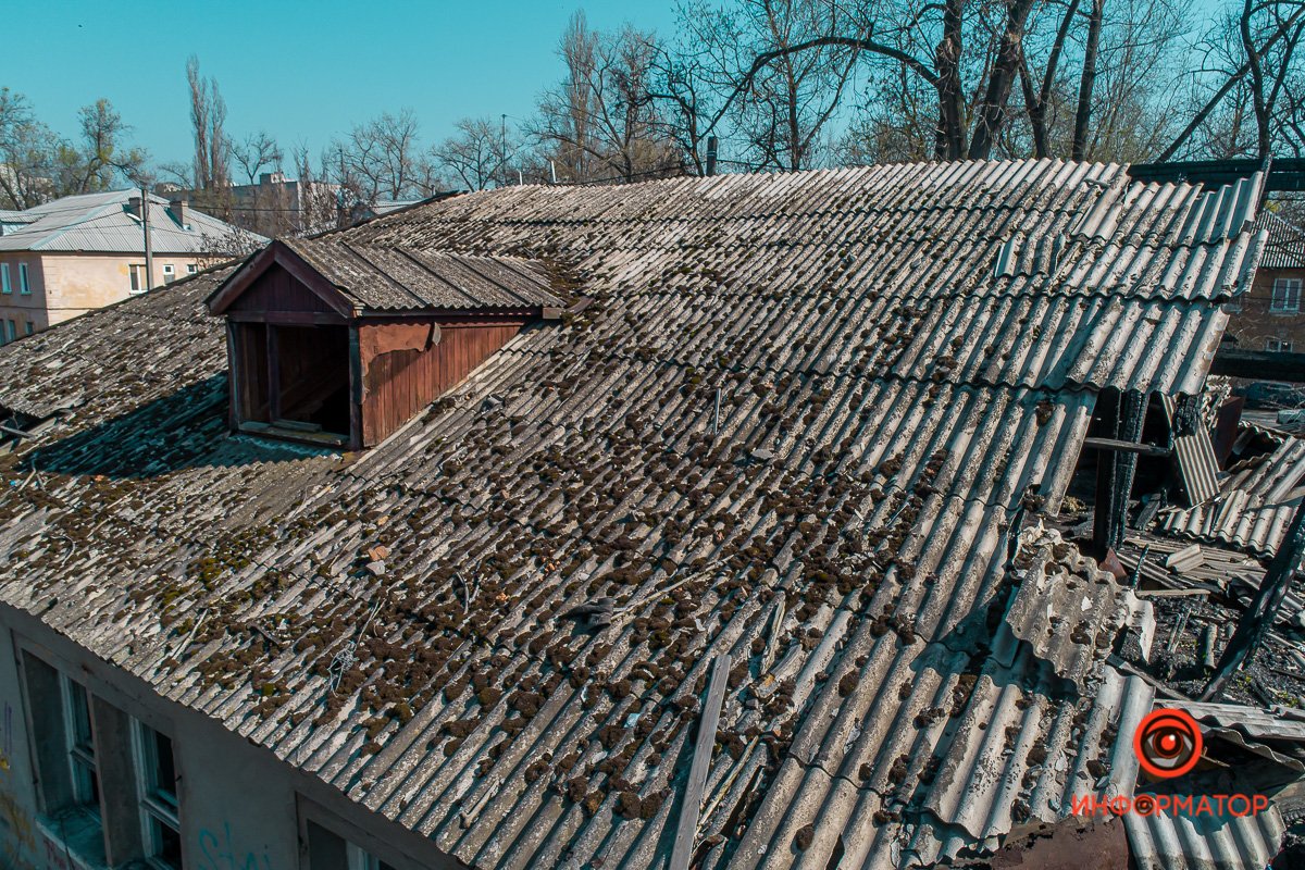 Крыша пытается выжить