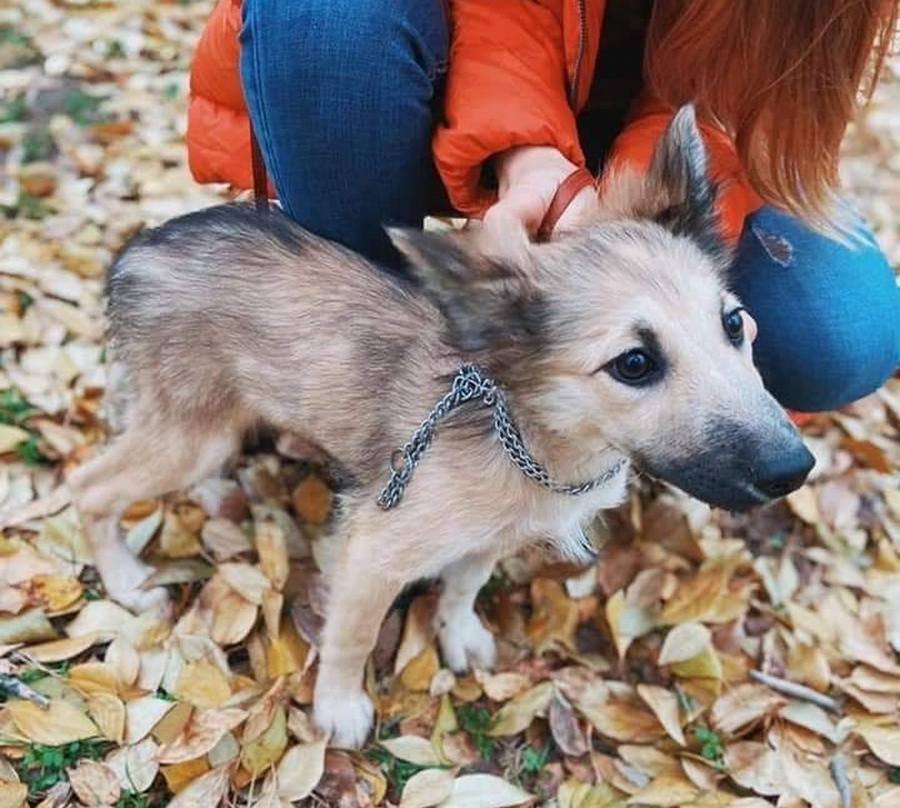 Сказочная девочка