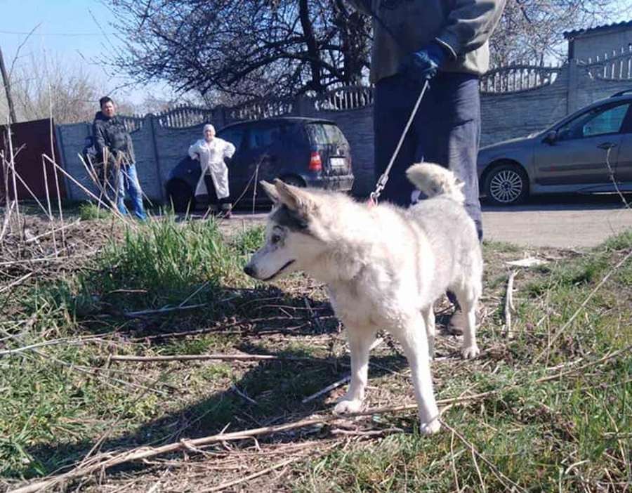 Девочка заслуживает лучшей жизни