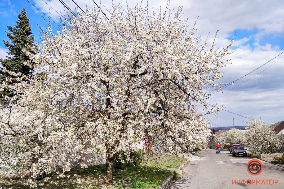 Белые облака в небе и на земле Белые облака в небе и на земле