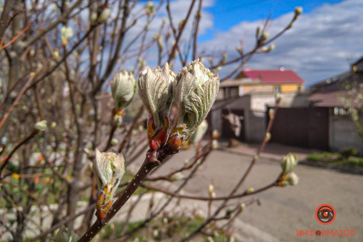Где-то только зарождается весна Где-то только зарождается весна