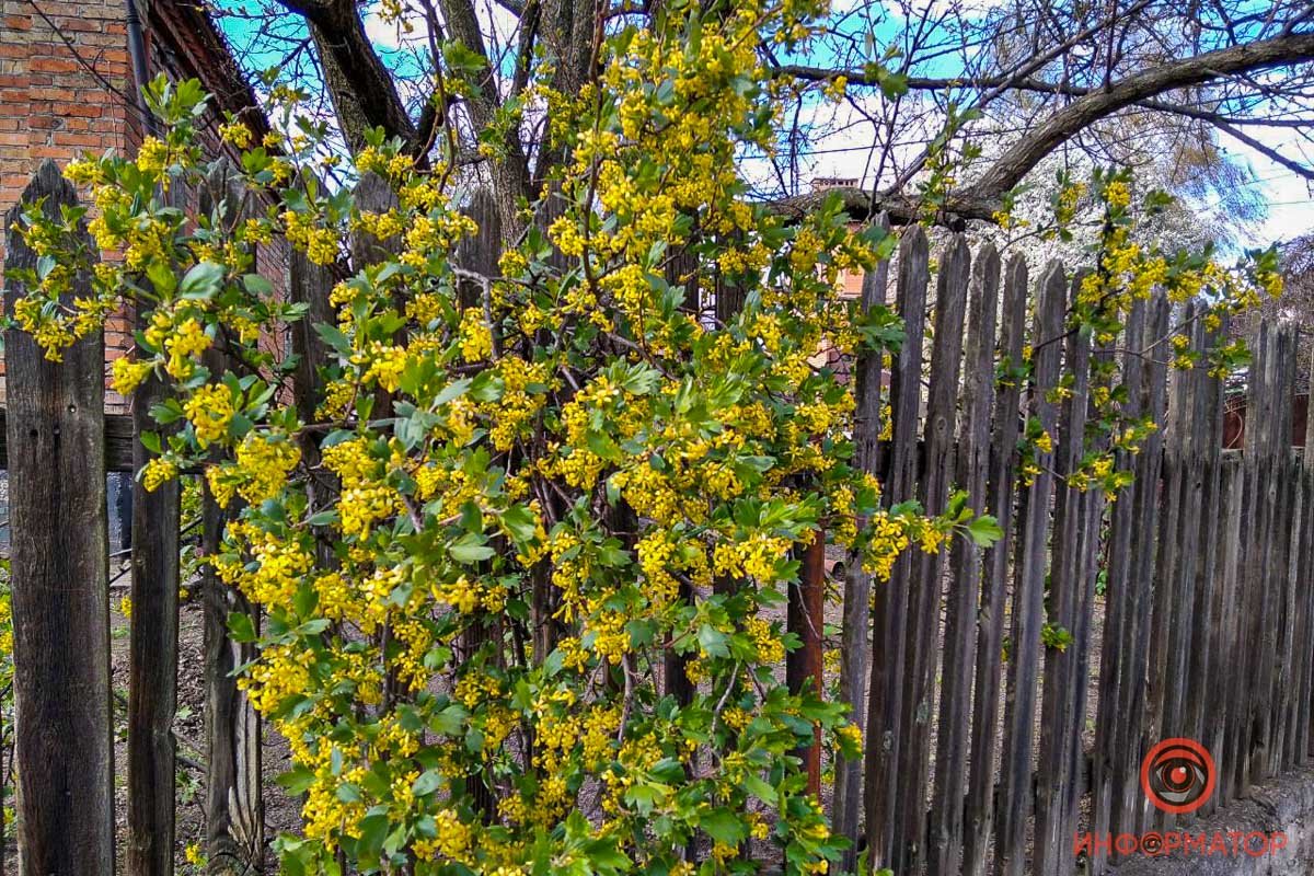 Здесь явно не хватало красок Здесь явно не хватало красок