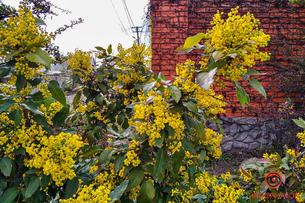 Идеальное сочетание цветов Идеальное сочетание цветов