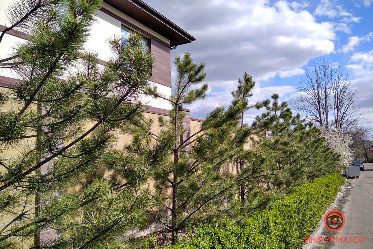 50 оттенков зеленого 50 оттенков зеленого