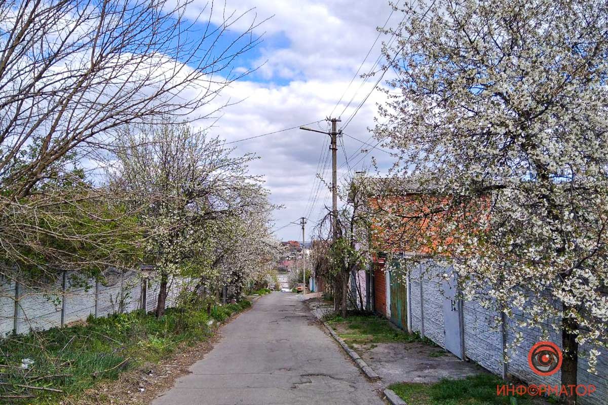 Чувствуете этот запах? Чувствуете этот запах?