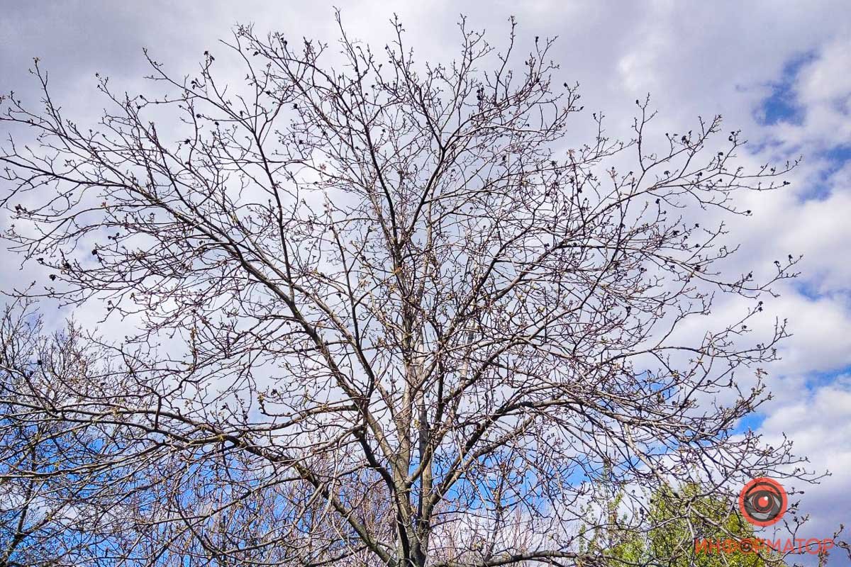 Картину дополняют облака Картину дополняют облака