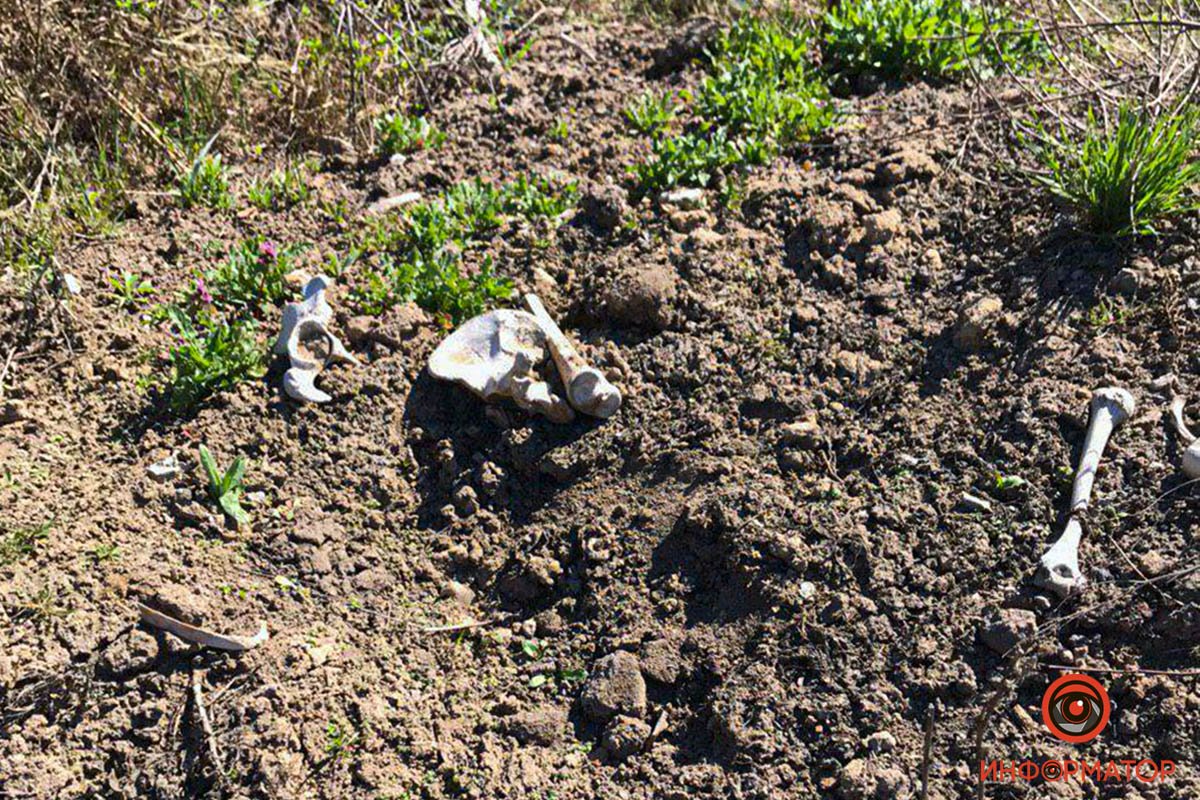 Останки доставят в бюро судебно-медицинской экспертизы, Останки доставят в бюро судебно-медицинской экспертизы,