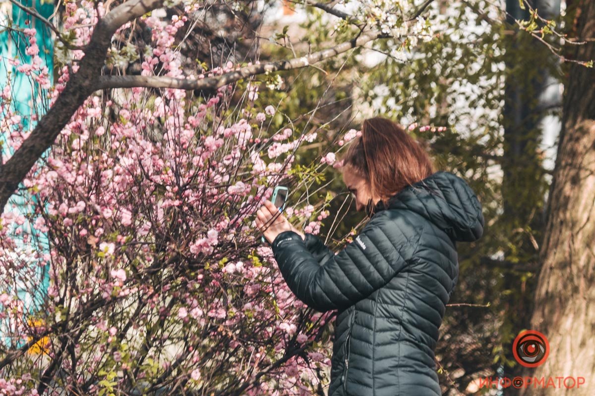 Карантин карантином, а одновлять ленту своего Instagram надо