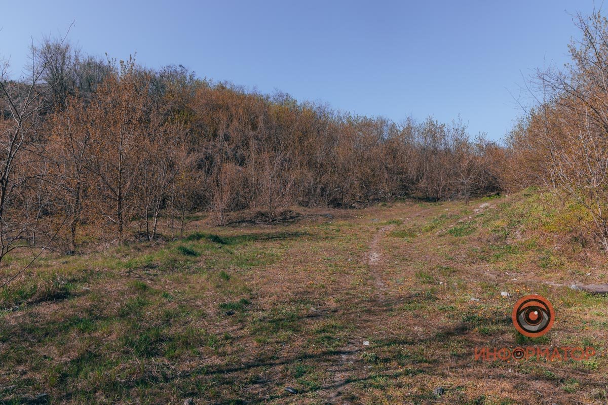 Тут собственный микроклимат