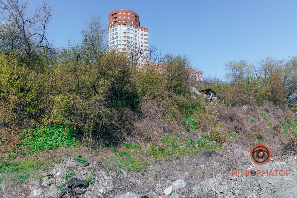 Говорят, тут все еще можно встретить лисиц и зайцев