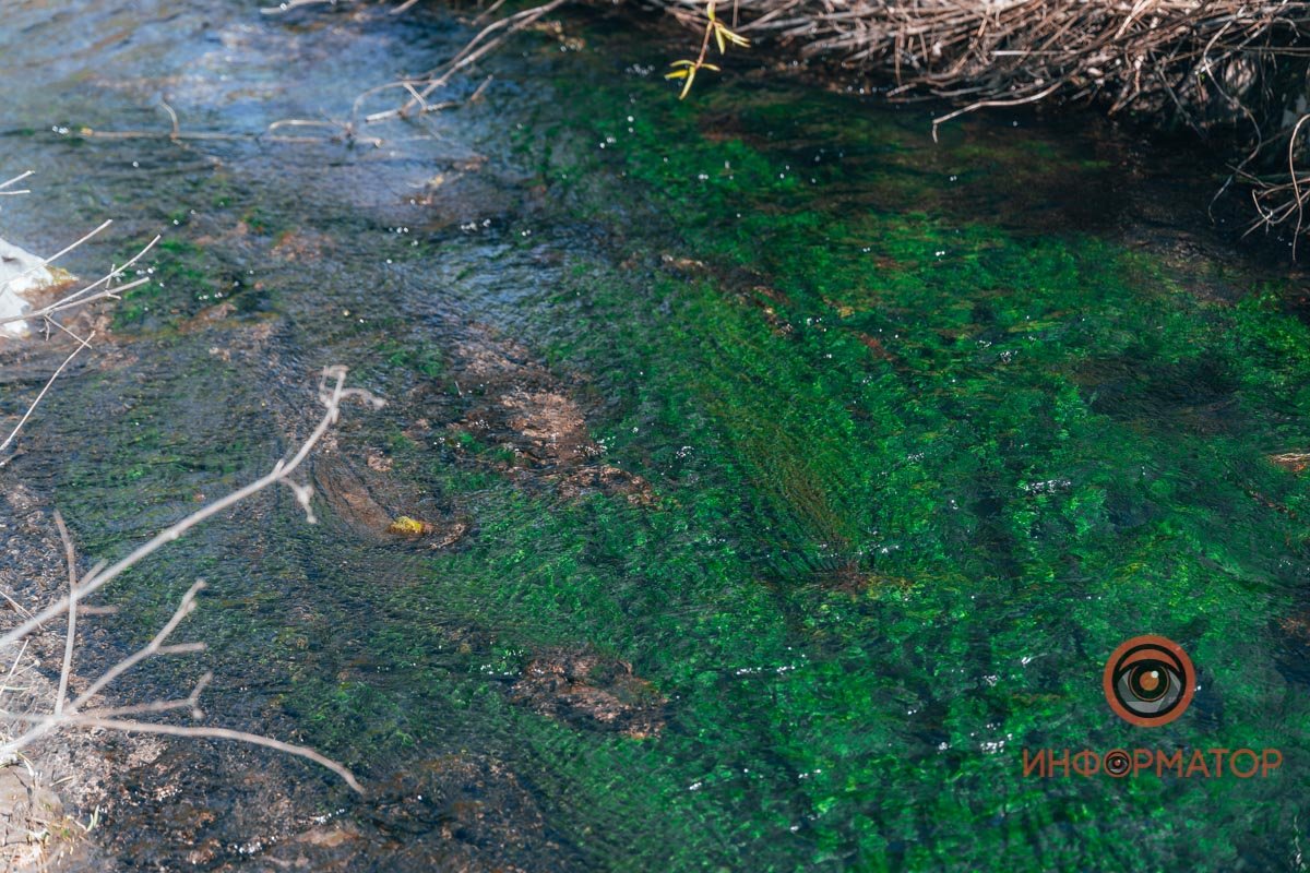 Сейчас реку загрязняют сточные воды