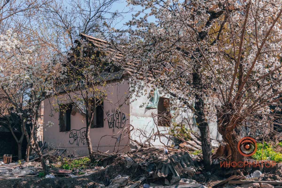 Природе все равно, она пробьется везде