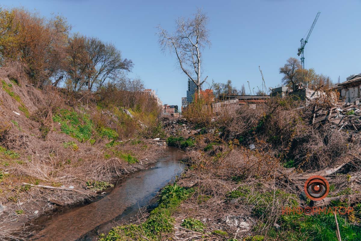 Природа пытается бороться за жизнь