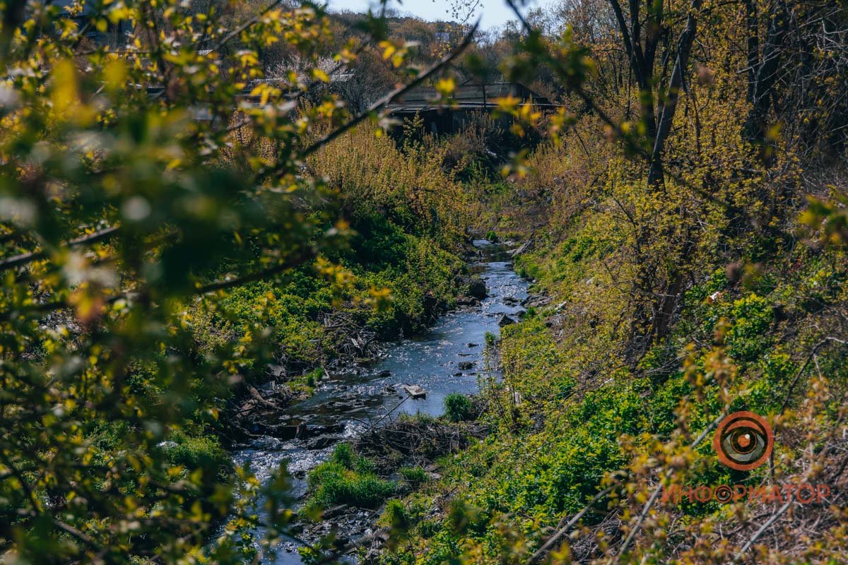 Весной реку можно увидеть во всем объеме